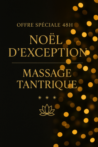 đ NOĂL DâEXCEPTION â OFFRE SPĂCIALE 48H (2025) _ Proche de Fontainebleau