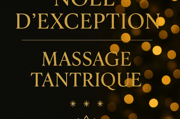 🎄 NOËL D’EXCEPTION — OFFRE SPÉCIALE 48H (2025) proche de Troyes